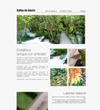 Design de site Wifeo