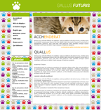 Design de site Wifeo