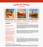 Design de site Wifeo